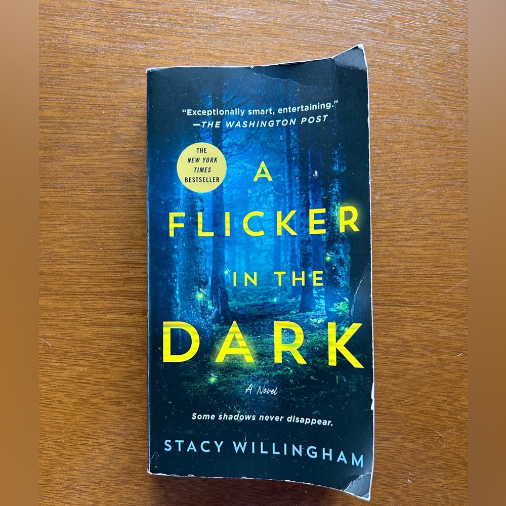 ‘A Flicker in the Dark’ book
